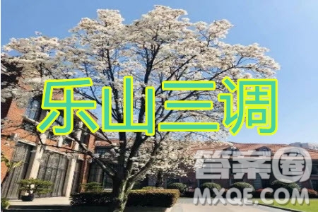 樂山市高中2020屆第三次調(diào)查研究考試語文試題及答案