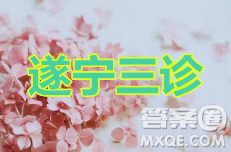 遂寧市高中2020屆三診考試高三理科數(shù)學(xué)試題及答案