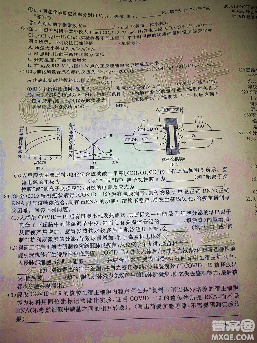 2020年齊齊哈爾二模理科綜合試題及答案