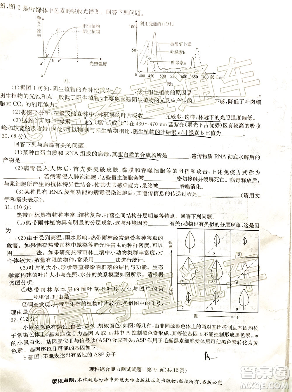 華大新高考聯(lián)盟名校2020年5月高考預(yù)測(cè)考試?yán)砜凭C合試題及答案