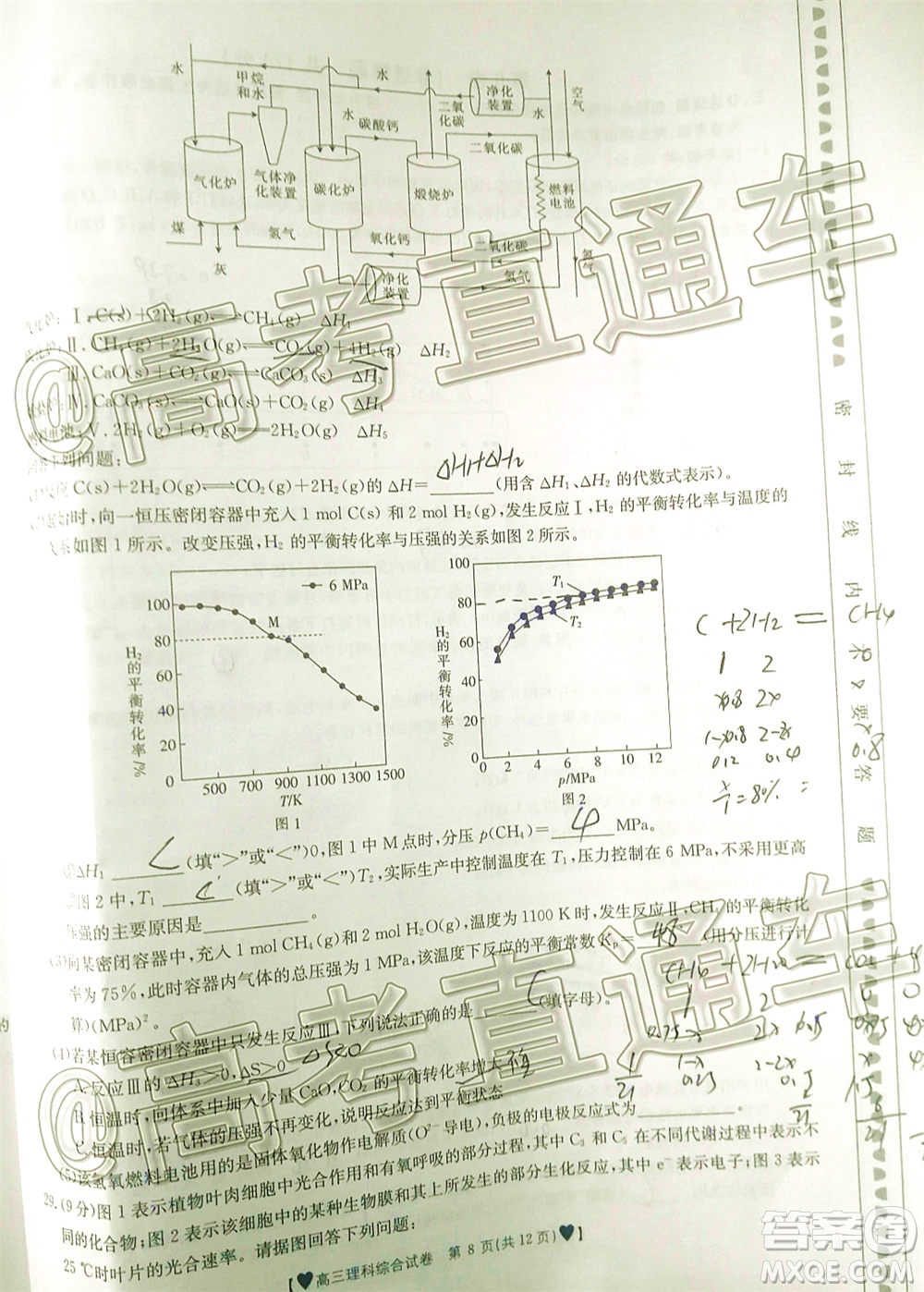 2020年金太陽(yáng)全國(guó)5月百萬(wàn)聯(lián)考全國(guó)二卷理科綜試題及答案