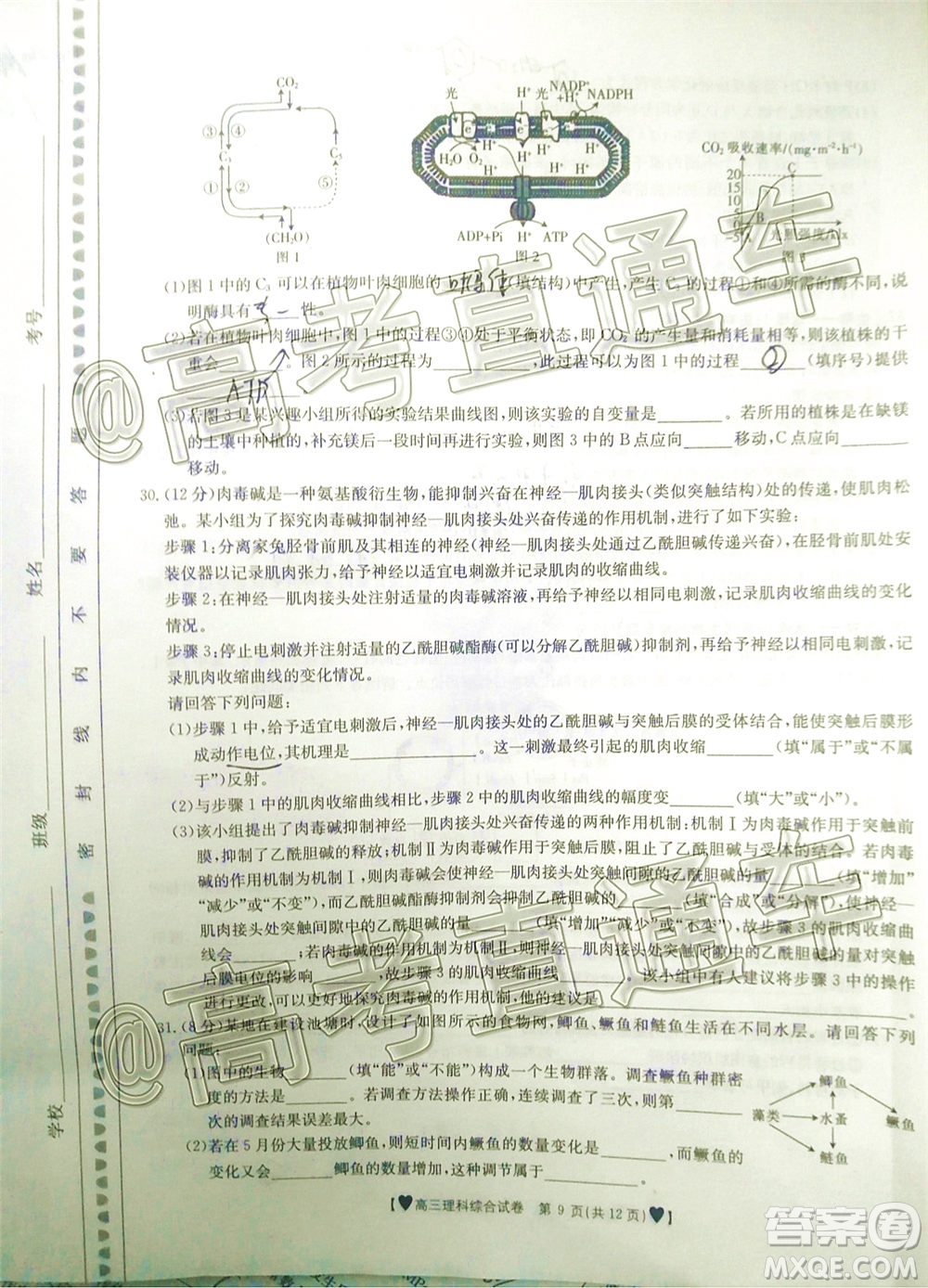 2020年金太陽(yáng)全國(guó)5月百萬(wàn)聯(lián)考全國(guó)二卷理科綜試題及答案