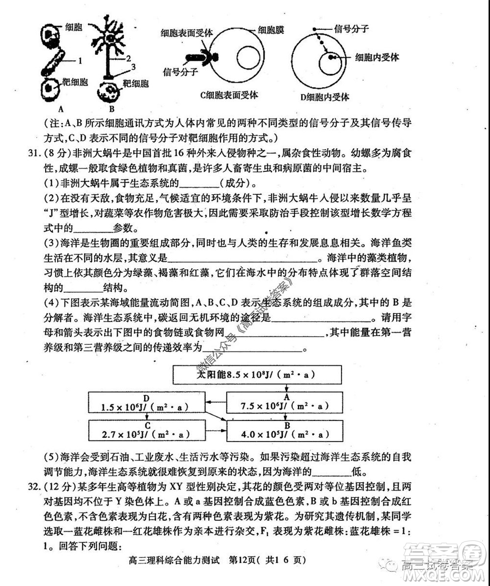 2020年河南省六市高三第二次聯(lián)考理科綜合試題及答案