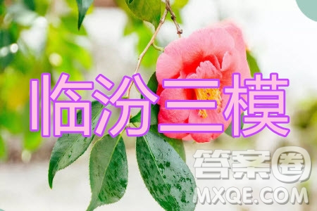 臨汾市2020年高考考前適應性訓練考試三文科數(shù)學試題及答案