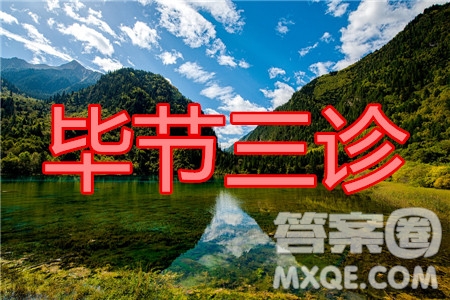 畢節(jié)市2020屆高三年級診斷性考試三文科數(shù)學(xué)試題及答案