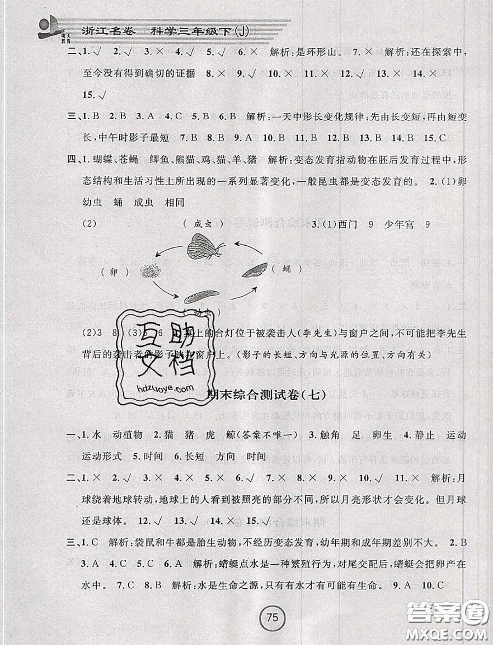 浙江大學(xué)出版社2020春浙江名卷三年級科學(xué)下冊教科版答案