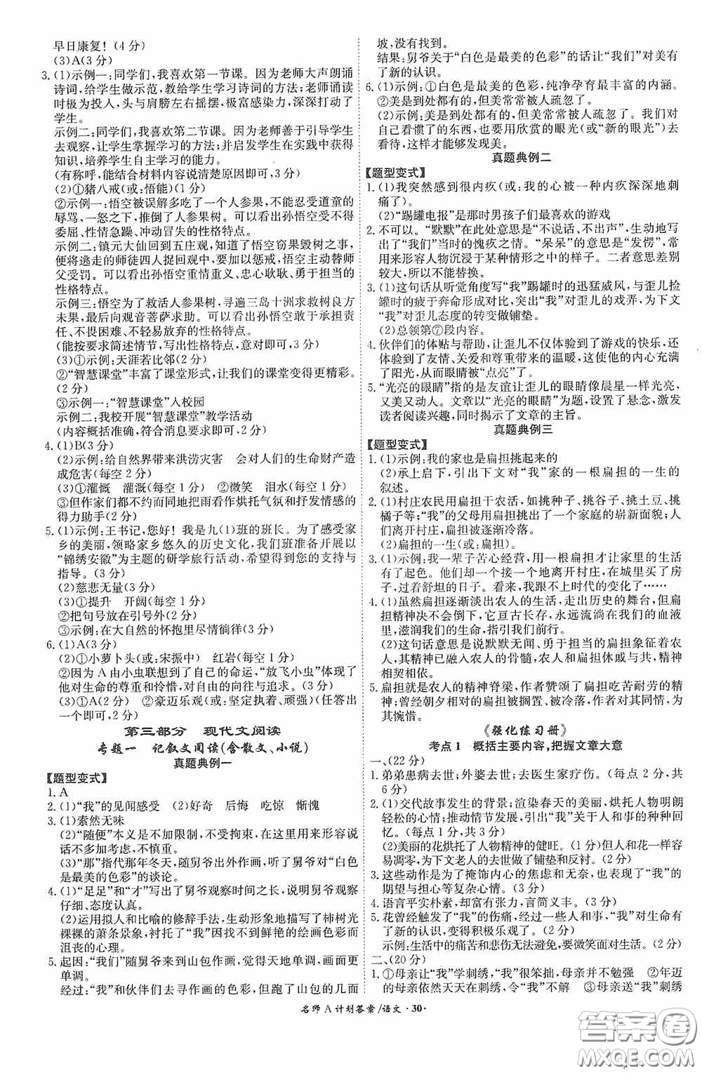 2020木牘教育安徽中考總復(fù)習(xí)名師A計(jì)劃強(qiáng)化練習(xí)冊(cè)語文答案