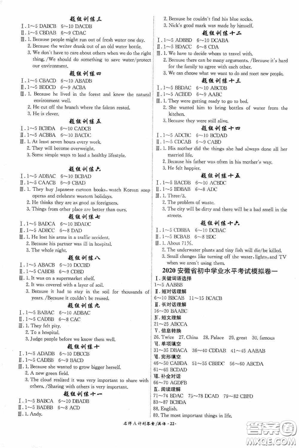 安徽師范大學(xué)出版社2020木牘教育安徽中考總復(fù)習(xí)名師A計(jì)劃英語答案