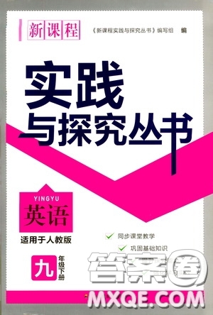 四川教育出版社2020新課程實(shí)踐與探究叢書九年級英語下冊人教版答案