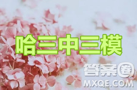 2020年哈三中三模高三文科數(shù)學(xué)試題及答案