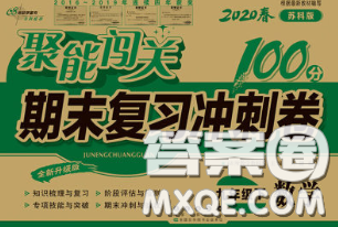 2020春聚能闖關(guān)100分期末復(fù)習(xí)沖刺卷九年級數(shù)學(xué)下冊蘇科版答案