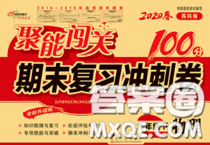 2020春聚能闖關(guān)100分期末復(fù)習(xí)沖刺卷九年級(jí)物理下冊(cè)蘇科版答案