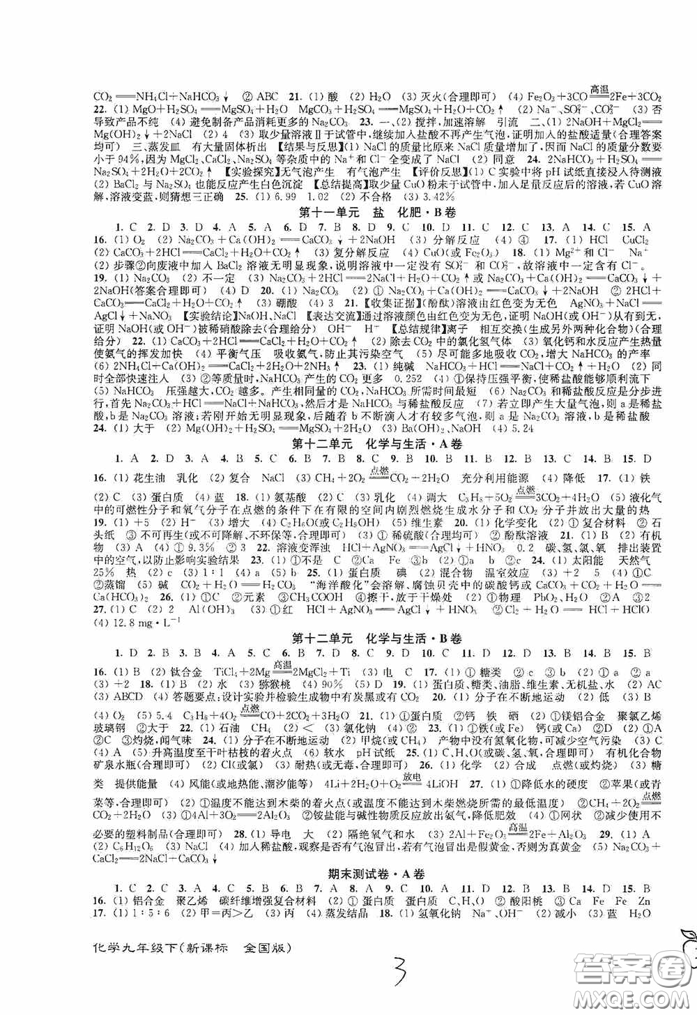 東南大學(xué)出版社2020江蘇密卷九年級(jí)化學(xué)下冊(cè)全國(guó)版答案