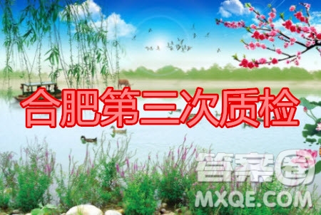 合肥市2020高三第三次教學(xué)質(zhì)量檢測(cè)語(yǔ)文試題及答案