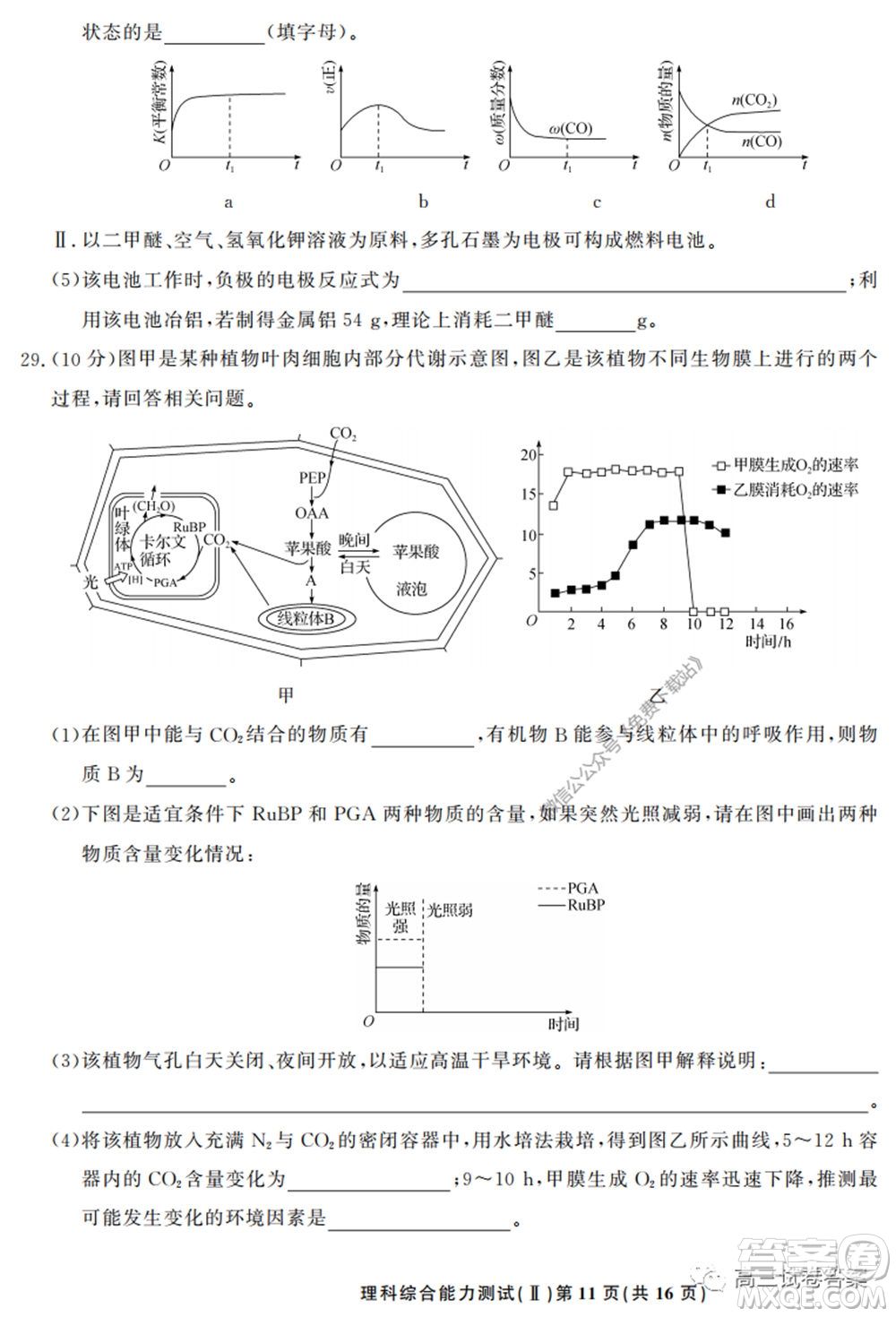 衡中同卷押題卷二2020年普通高等學(xué)校招生全國統(tǒng)一考試模擬試題理科綜合試題及答案