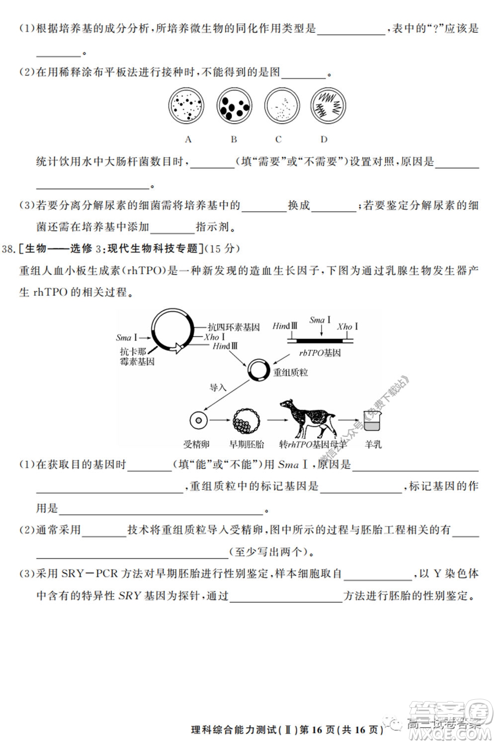 衡中同卷押題卷二2020年普通高等學(xué)校招生全國統(tǒng)一考試模擬試題理科綜合試題及答案