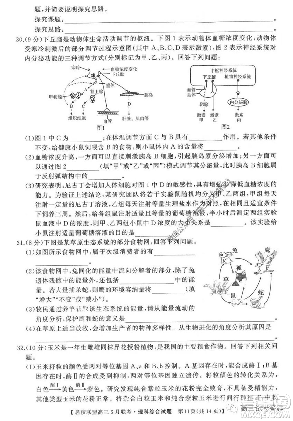 河南省名校聯(lián)盟2020屆高三下學(xué)期6月聯(lián)考理科綜合試題及答案