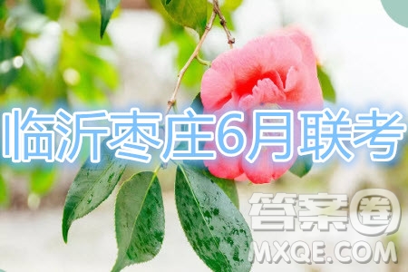 2020年臨沂棗莊6月聯(lián)考高三數(shù)學(xué)試題及答案