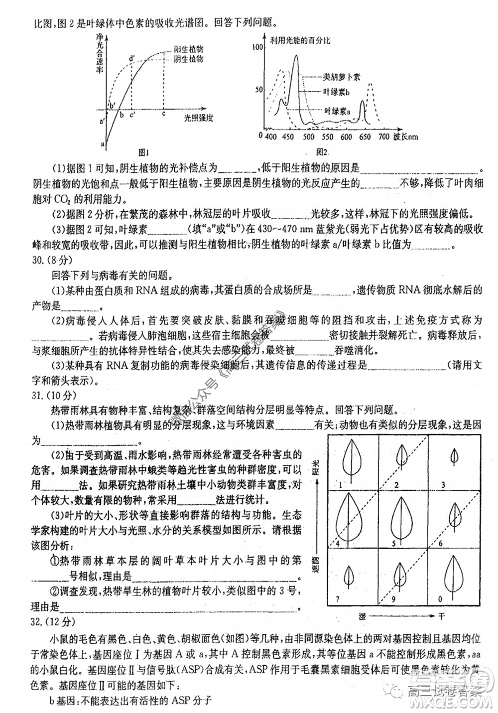 華中師大附中2020屆高三高考預(yù)測(cè)卷理科綜合試題及答案