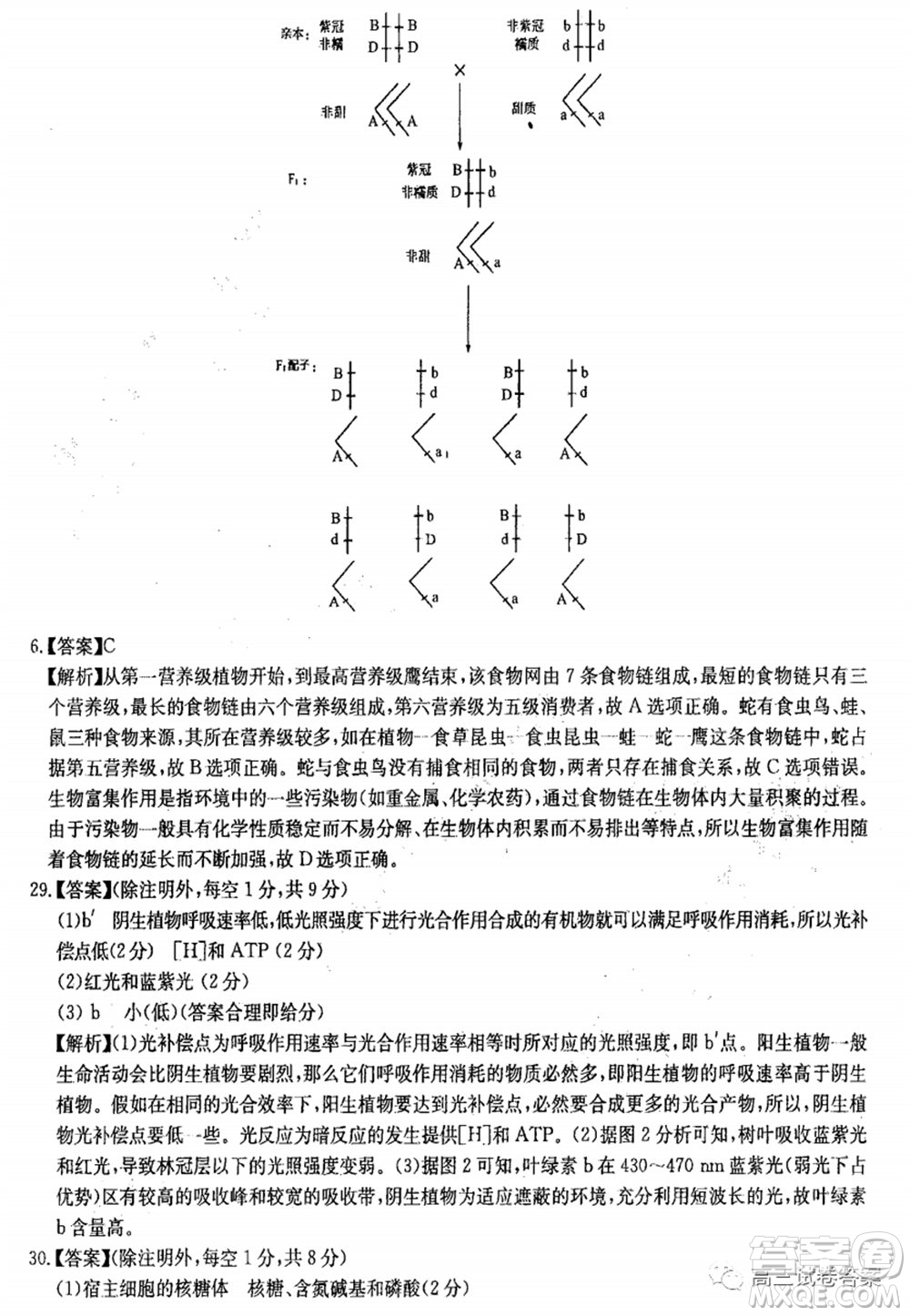 華中師大附中2020屆高三高考預(yù)測(cè)卷理科綜合試題及答案