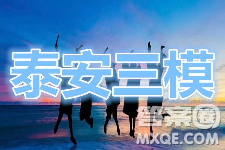 泰安三模2020年高考全真模擬題物理試題及答案