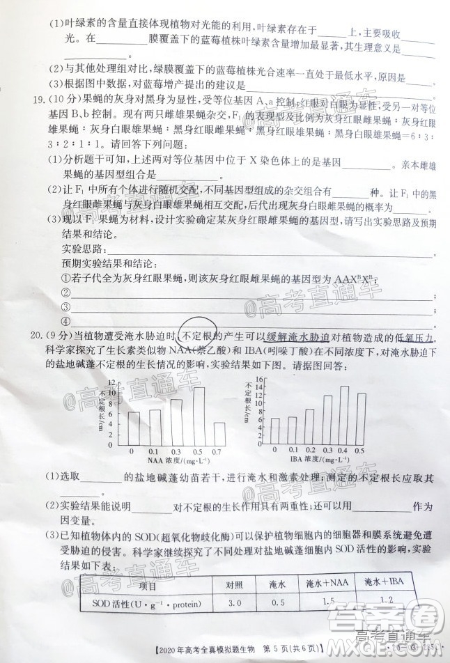 泰安三模2020年高考全真模擬題生物試題及答案