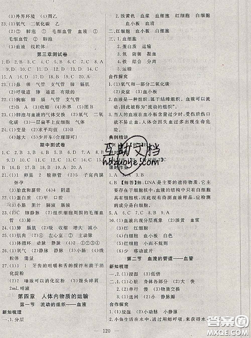 2020新版351高效課堂導(dǎo)學(xué)案七年級(jí)生物下冊(cè)人教版答案