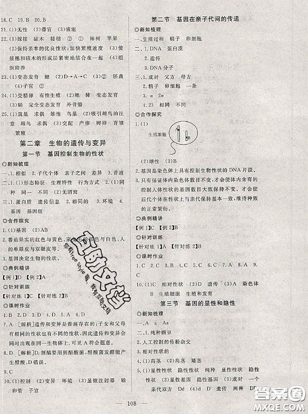 2020新版351高效課堂導(dǎo)學(xué)案八年級(jí)生物下冊(cè)人教版答案