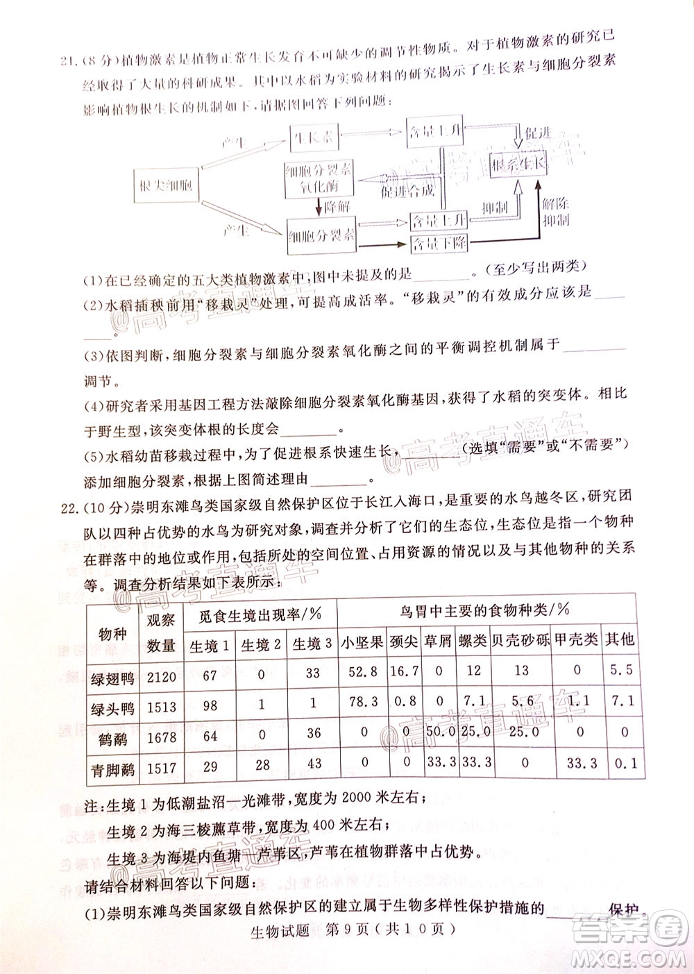 濟寧二模2019-2020學(xué)年度高考模擬考試生物試題及答案