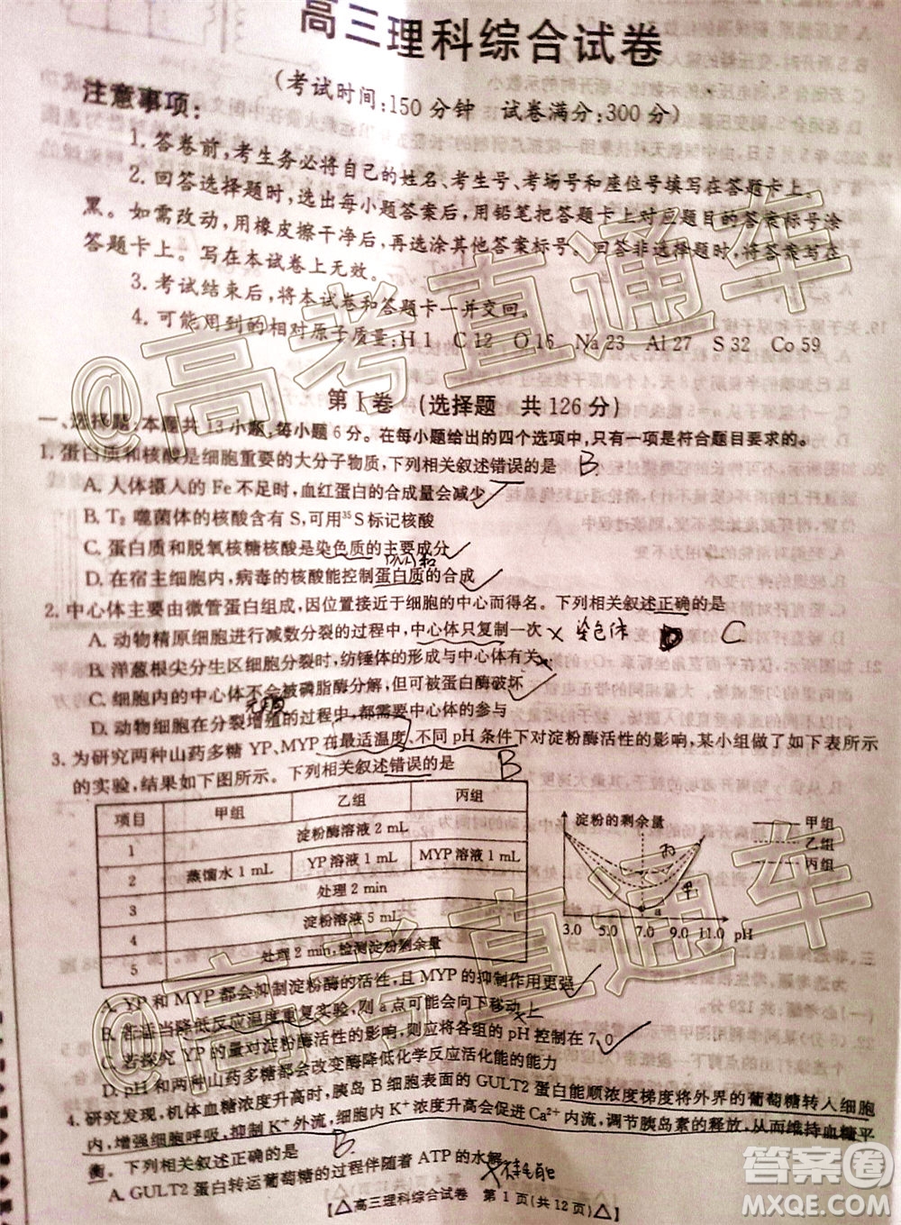 2020年金太陽百萬聯(lián)考全國II卷三角形高三理科綜合試題及答案