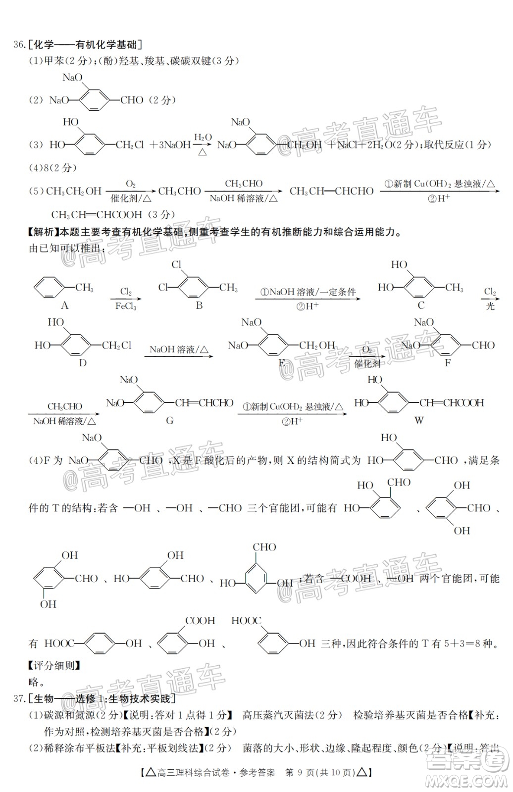 2020年金太陽百萬聯(lián)考全國II卷三角形高三理科綜合試題及答案