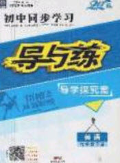 2020初中同步學(xué)習(xí)導(dǎo)與練導(dǎo)學(xué)探究案九年級英語下冊人教版答案