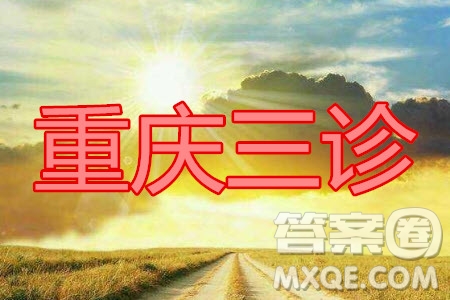 重慶三診2020年重慶6月調(diào)研測(cè)試卷理科數(shù)學(xué)試題及答案