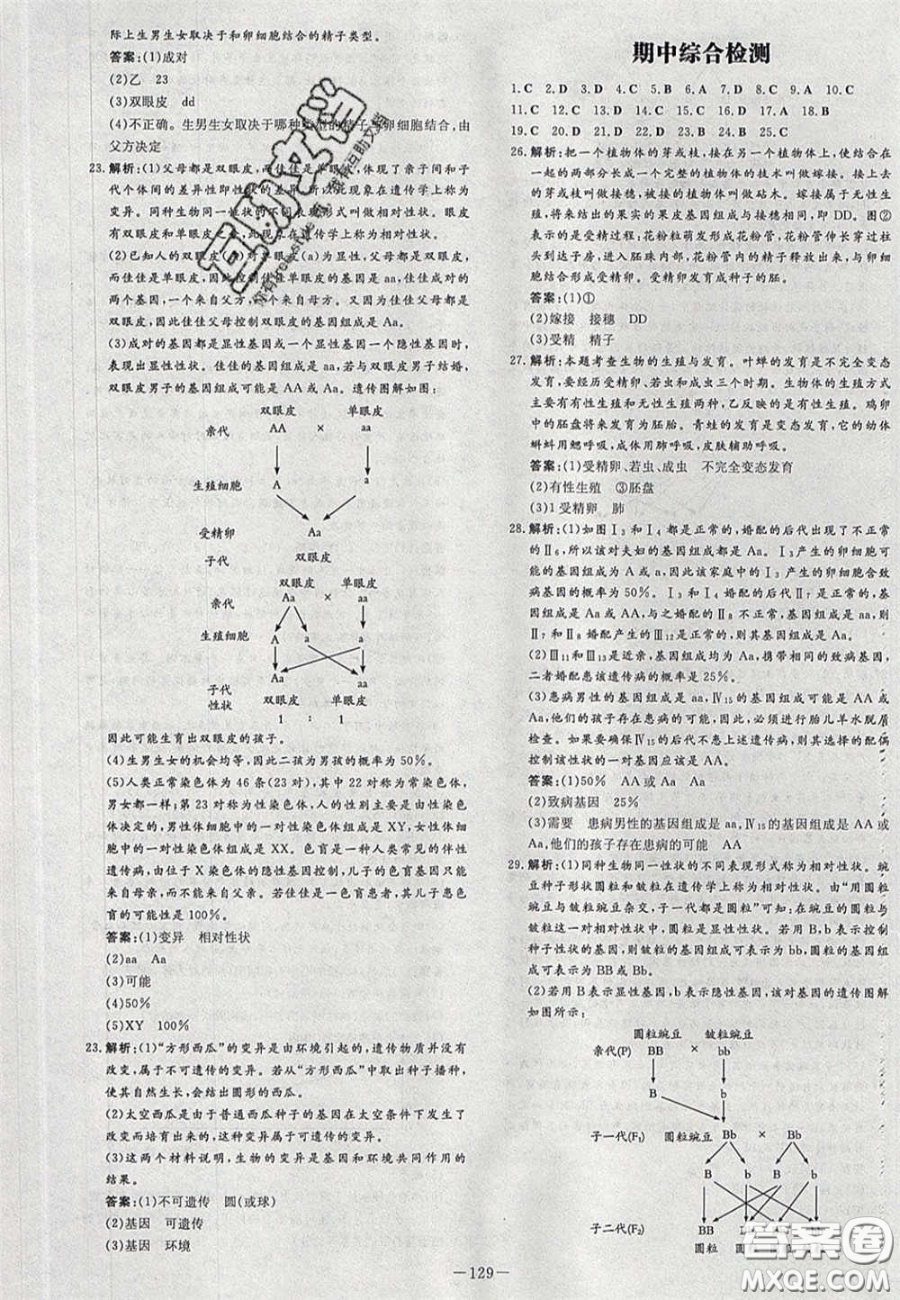 2020初中同步學(xué)習(xí)導(dǎo)與練導(dǎo)學(xué)探究案八年級(jí)生物下冊(cè)人教版答案