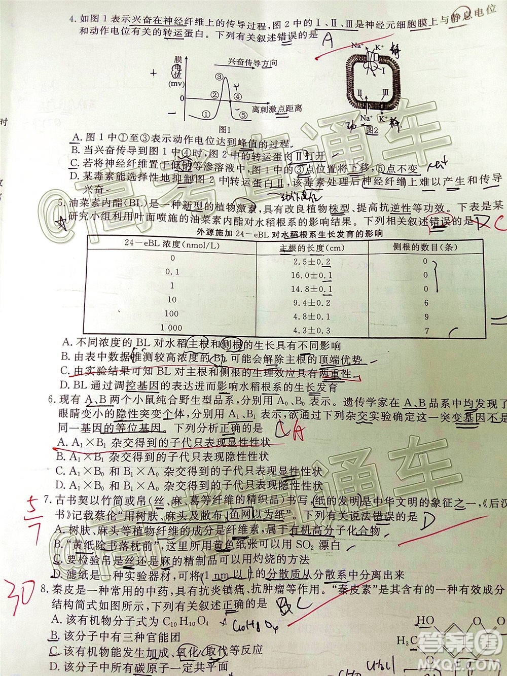 2020屆湘贛粵高三6月大聯(lián)考理科綜合試題及答案