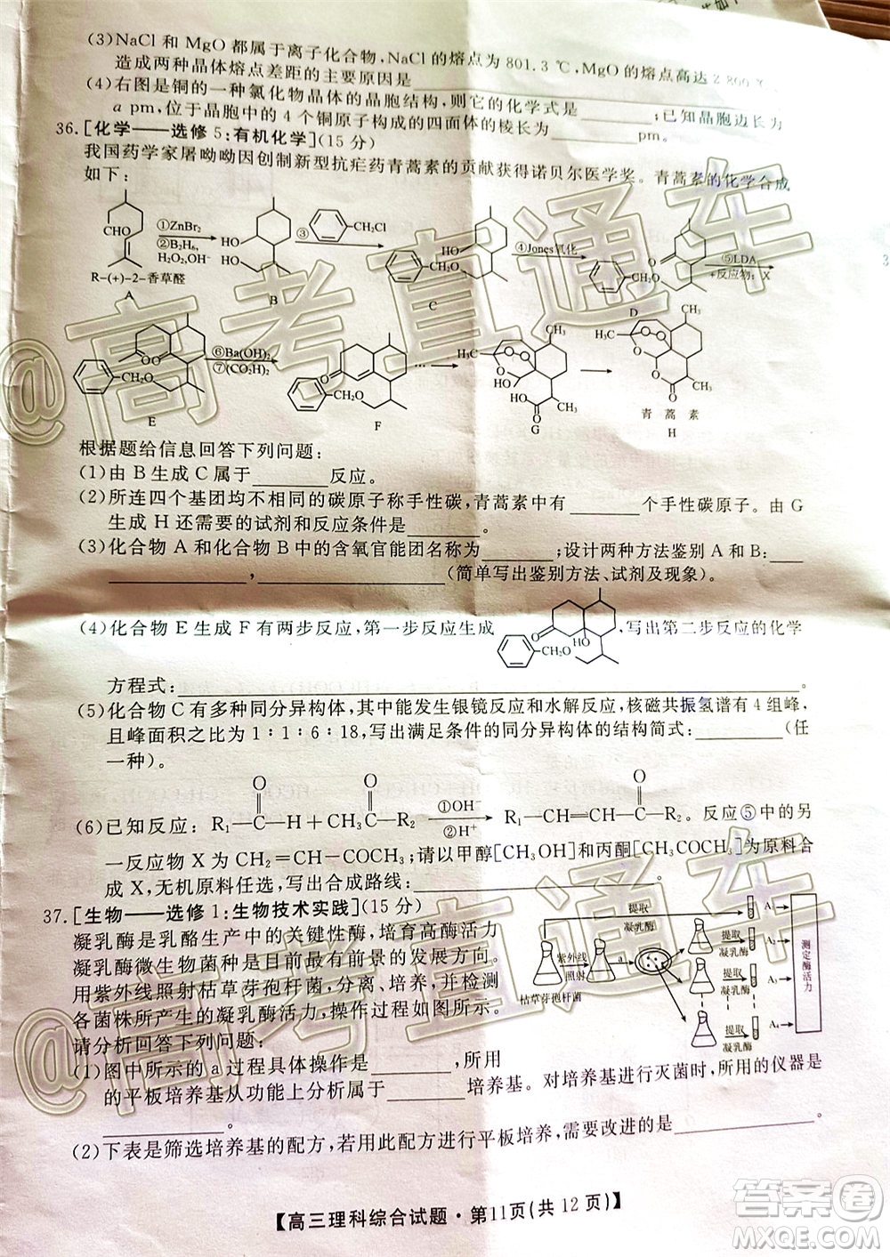 2020屆湘贛粵高三6月大聯(lián)考理科綜合試題及答案