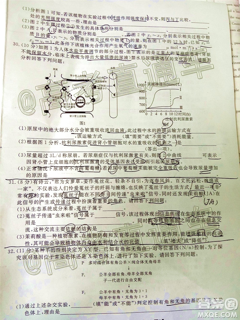 2020屆湘贛粵高三6月大聯(lián)考理科綜合試題及答案