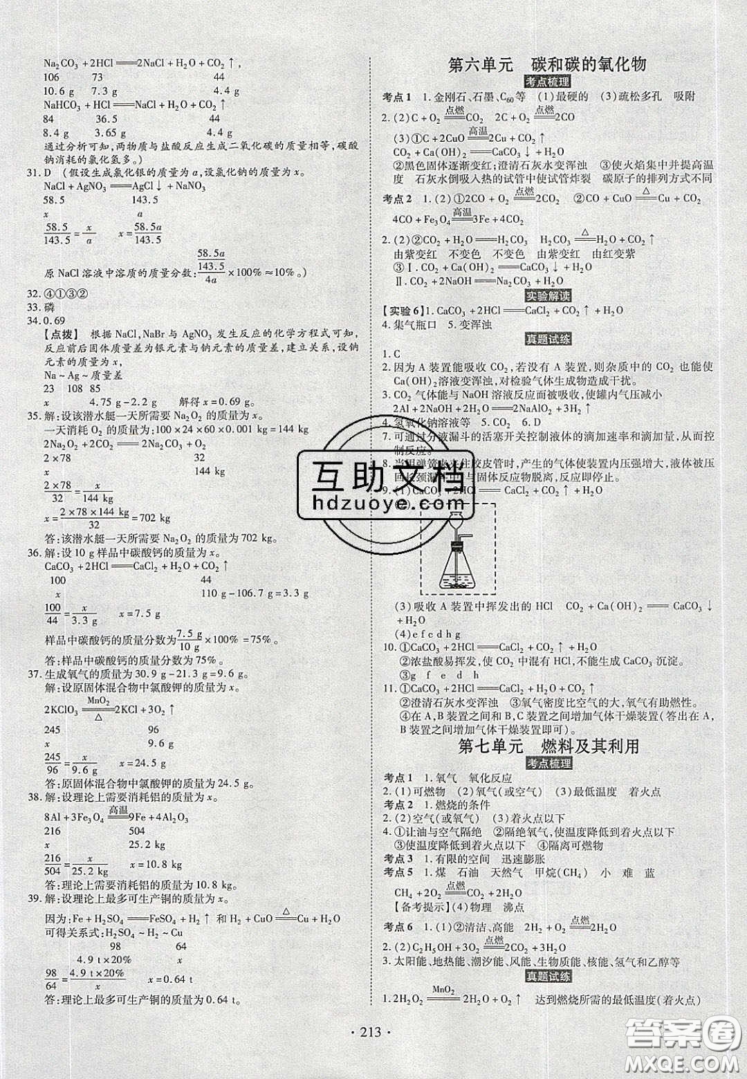 2020年河南中考風(fēng)向標(biāo)初中總復(fù)習(xí)化學(xué)答案