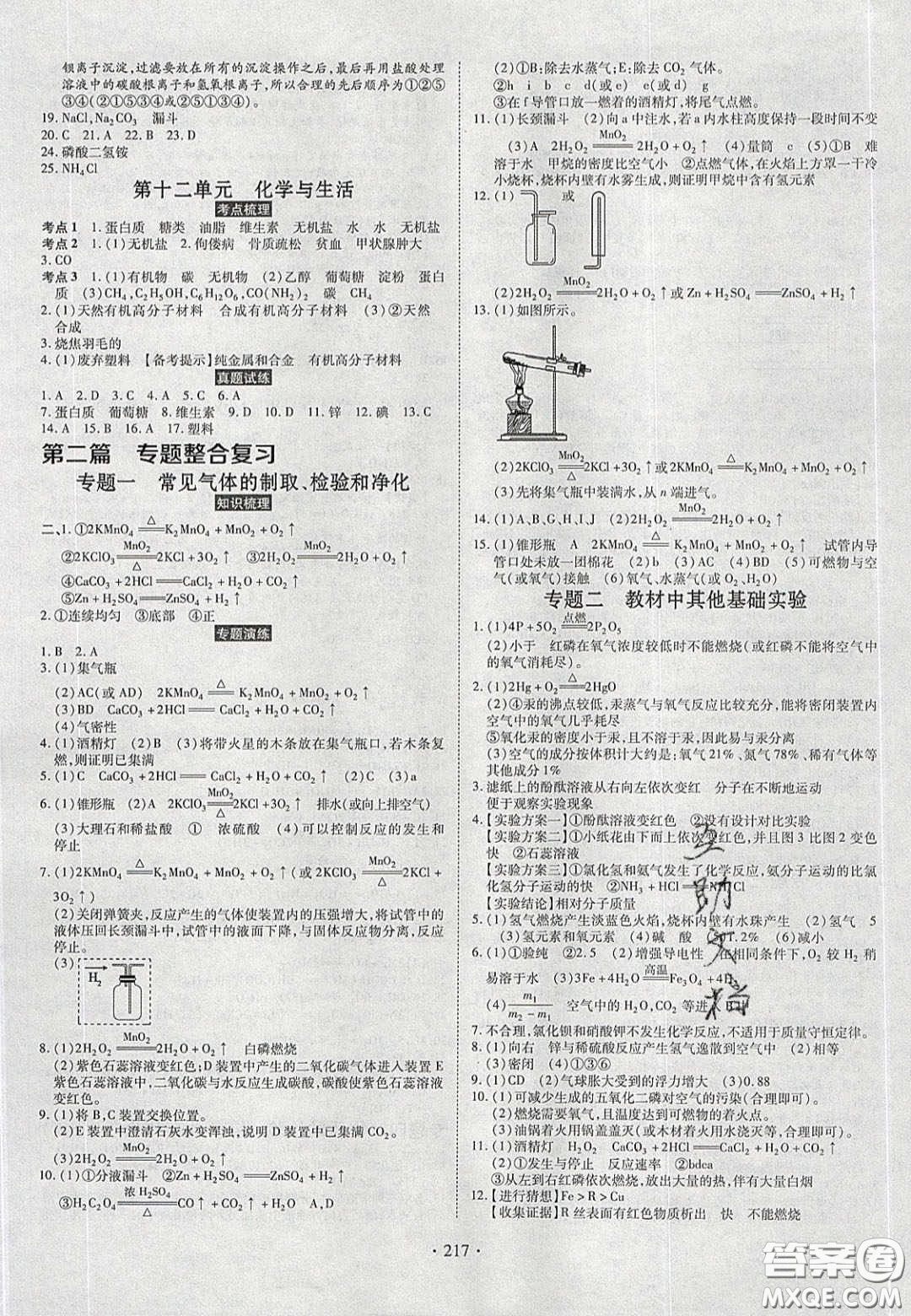 2020年河南中考風(fēng)向標(biāo)初中總復(fù)習(xí)化學(xué)答案