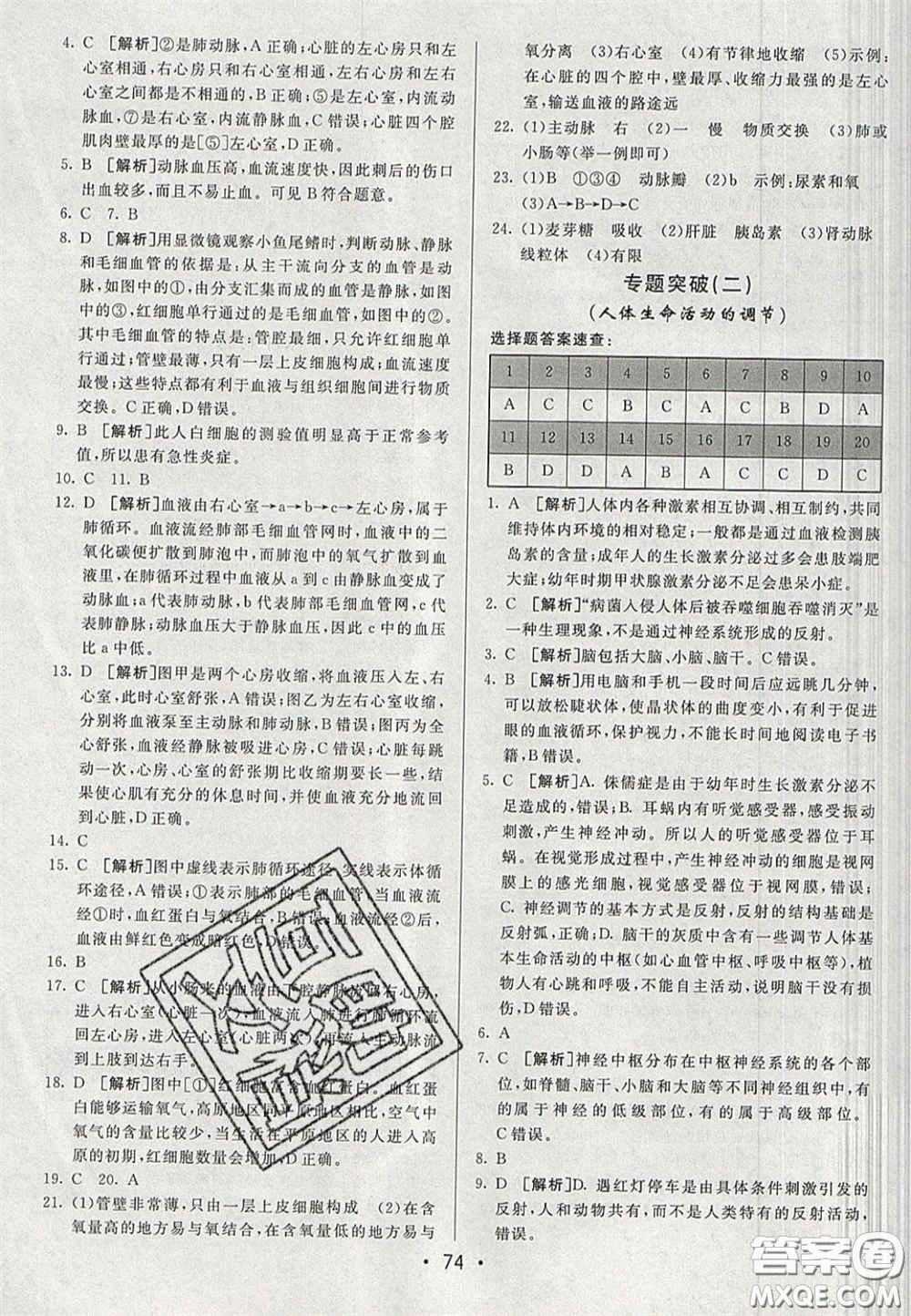 2020期末考向標海淀新編跟蹤突破測試卷七年級生物下冊濟南版答案