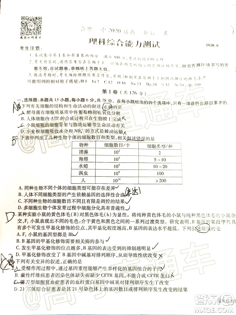 合肥一中2020屆高三最后一卷理科綜合試題及答案