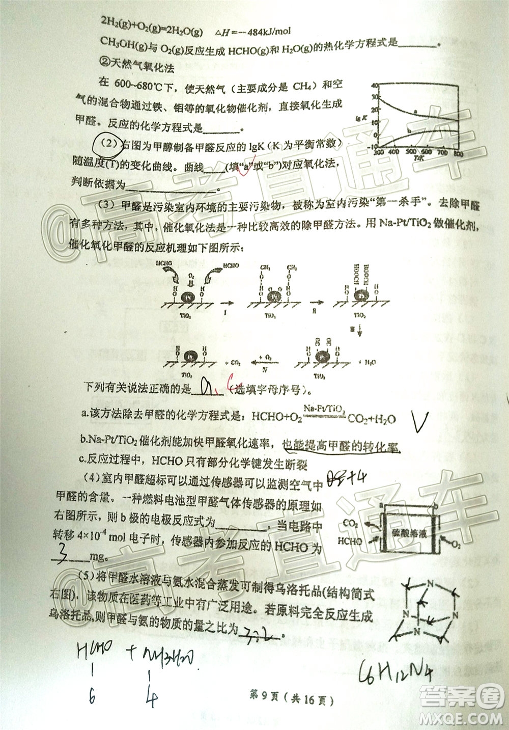 2020年葫蘆島市普通高中高三第二次模擬考試?yán)砜凭C合試題及答案