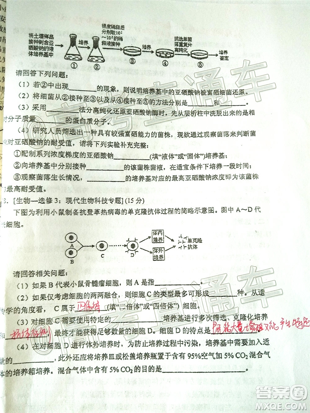 2020年葫蘆島市普通高中高三第二次模擬考試?yán)砜凭C合試題及答案