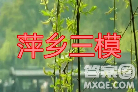 2020年萍鄉(xiāng)市高三第三次模擬考試理科數(shù)學試題及答案