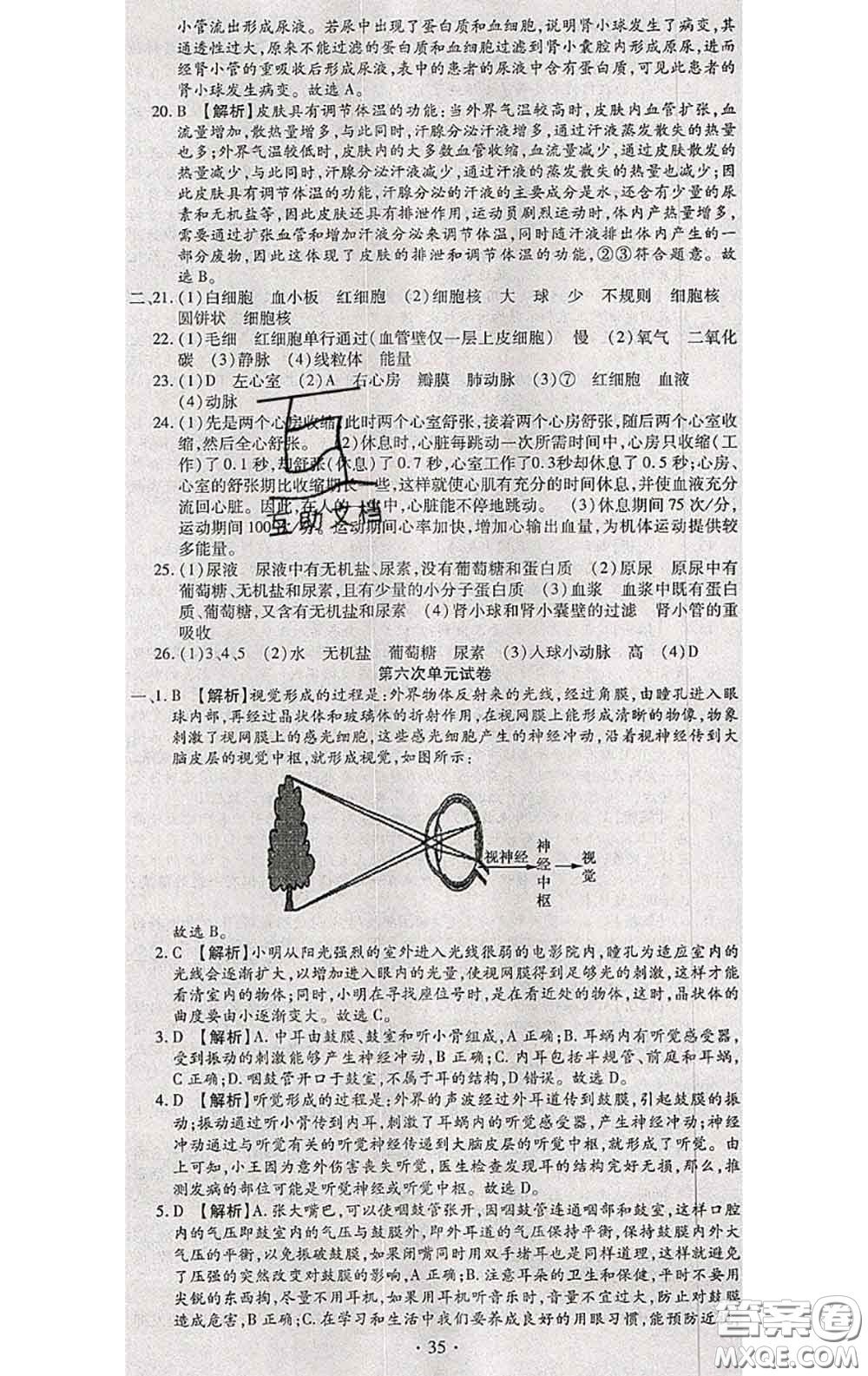 2020春全程測評試卷七年級生物下冊人教版答案