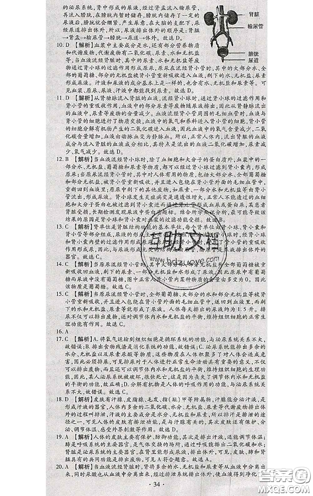 2020春全程測評試卷七年級生物下冊人教版答案