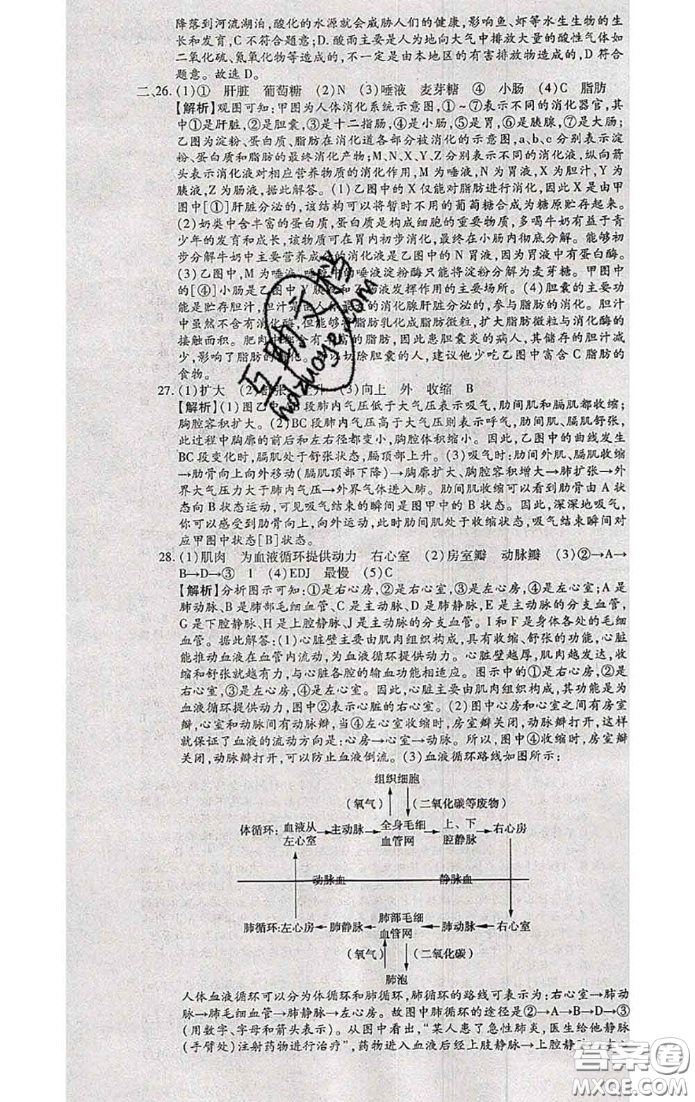 2020春全程測評試卷七年級生物下冊人教版答案