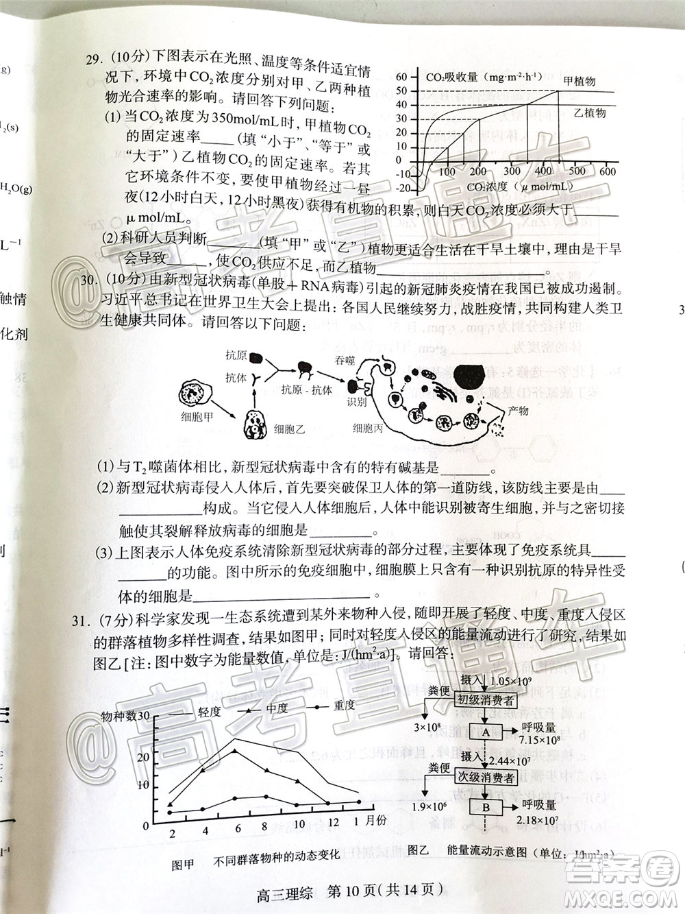 石家莊市2020屆高中畢業(yè)班綜合訓(xùn)練二理科綜合試題及答案