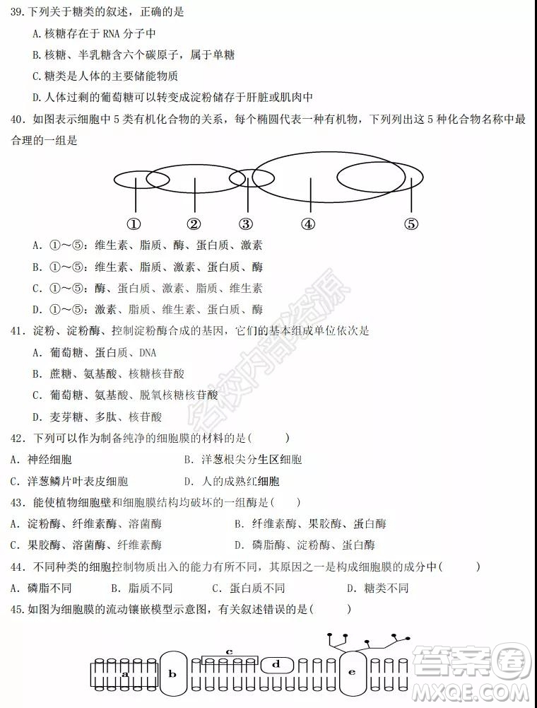 黑龍江省實(shí)驗(yàn)中學(xué)2019-2020學(xué)年下學(xué)期高二年級(jí)期中考試?yán)砜凭C合試卷及答案