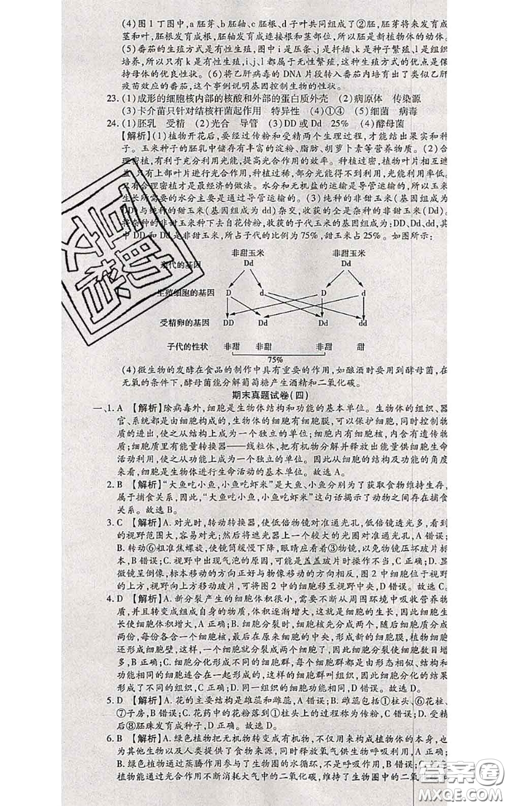 2020春全程測評試卷八年級生物下冊人教版答案